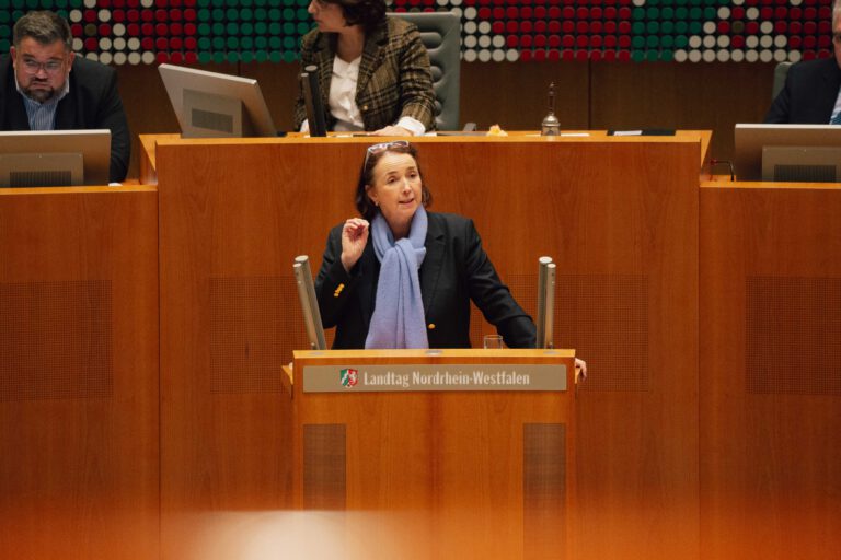 Freimuth (FDP): Kürzungen bei Hochschulen verschlechtern Studienbedingungen für neue Studierende